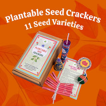 Load image into Gallery viewer, DIWALI SPECIAL: Plantable Seed Crackers: Set of 5 with 11 varieties of seeds