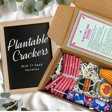 Load image into Gallery viewer, DIWALI SPECIAL: Plantable Seed Crackers: Set of 5 with 11 varieties of seeds