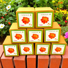Load image into Gallery viewer, Mini Cosmos Flower Grow Kits – Set of 9 | Easy-to-Grow DIY Gardening Gift Pack | Eco-Friendly Return Gift Idea for Kids & Adults