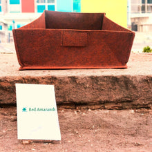 Load image into Gallery viewer, Large Grow Bag and Red Amaranth/ Lal Saag Seeds Grow it Yourself Vegetable Kit