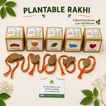 Load image into Gallery viewer, Clay Rakhis with Seeds: Set of 5