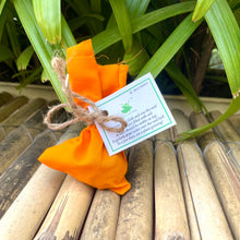 Load image into Gallery viewer, Seed Balls of Wildflower Seeds | Set of 10 Individually Packed Beej Balls | Eco-Friendly Gardening Kit | Sustainable Green Gifting