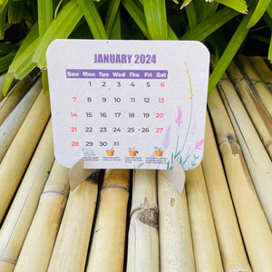 Plantable Calendar 2024