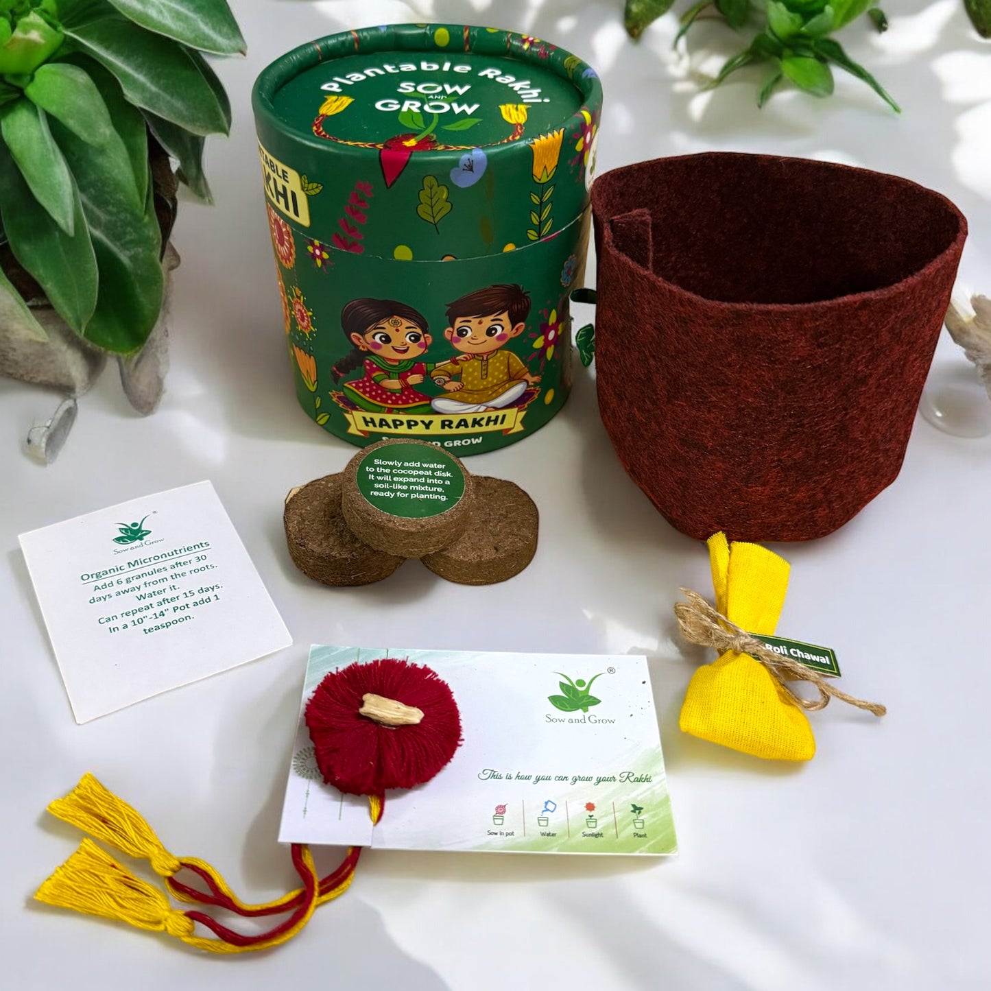 3-Pack Thread Rakhi with Seeds Grow Kit || Rakhi with Seeds || Combo with a Gardening Kit
