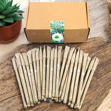 Load image into Gallery viewer, Box of 50 Plantable Seed Pens | Eco-Friendly Bulk Pack for Offices & Events | 100% Biodegradable Pen Body with Blue Ink | Grow Plants from Pens
