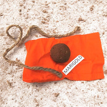 Load image into Gallery viewer, Stationary Combo with a Plantable Flag and a Mini Grow Kit