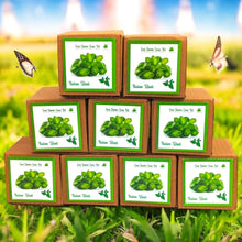 Load image into Gallery viewer, Mini Italian Basil Grow Kits – Set of 9 | Eco-Friendly DIY Gardening Gift Pack for Kids & Adults | Return Gift Ideas