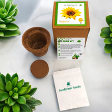 Load image into Gallery viewer, Mini Sunflower Grow Kits – Set of 9 | Eco-Friendly DIY Gardening Gift Pack for Kids & Adults | Return Gift Ideas