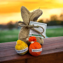 Load image into Gallery viewer, Seed Ball Duo in Jute Potli- Pack of 10 | Eco-Friendly Gardening Kit with 2 Seed Balls per Potli | 3 Variants – Tulsi Marigold, Marigold Sunflower, Sunflower Tomato