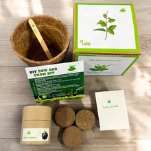 Load image into Gallery viewer, Holy Tulsi Seed Starter Grow Kit – Pack of 6 | DIY Easy Grow-it-Yourself Gardening Kit for Home and Garden | A Complete Beginner Gardeners Gardening Set