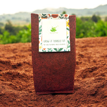 Load image into Gallery viewer, Set of 5 Flower Grow Bag Kits – Easy DIY Gardening Kit for Home, Balcony, Terrace & Indoor Use – Ideal for Beginners & Plant Lovers