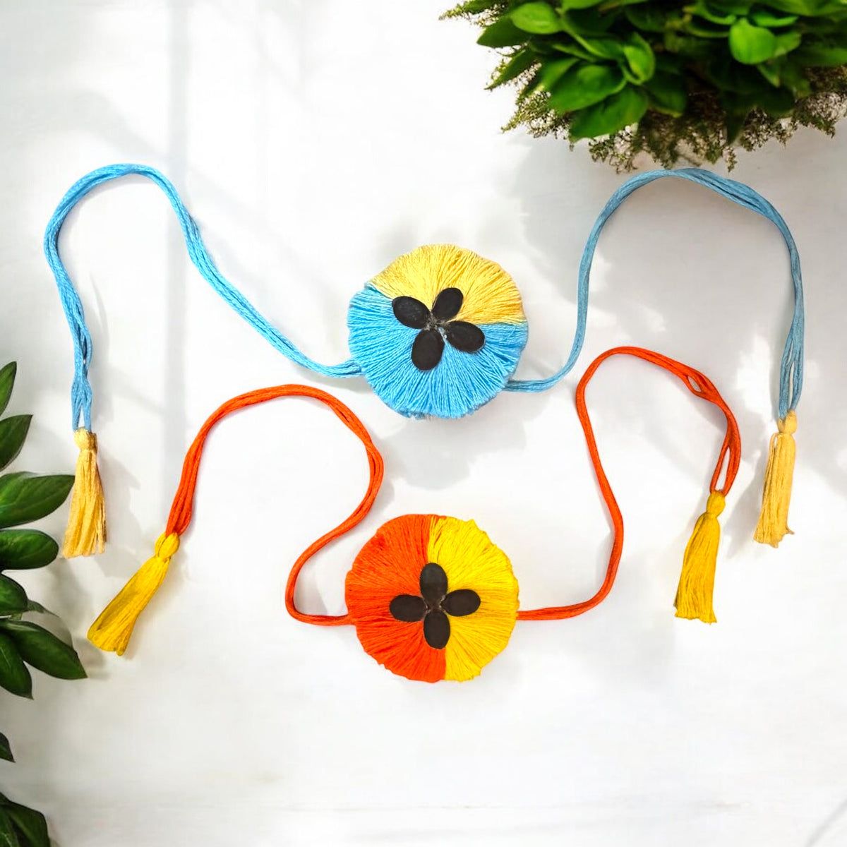 2-Pack Premium Plantable Thread Rakhis – Dual Colour with Torai Seeds & Grow Kit | Rakhi That Grows | Eco-Friendly Raksha Bandhan Gift