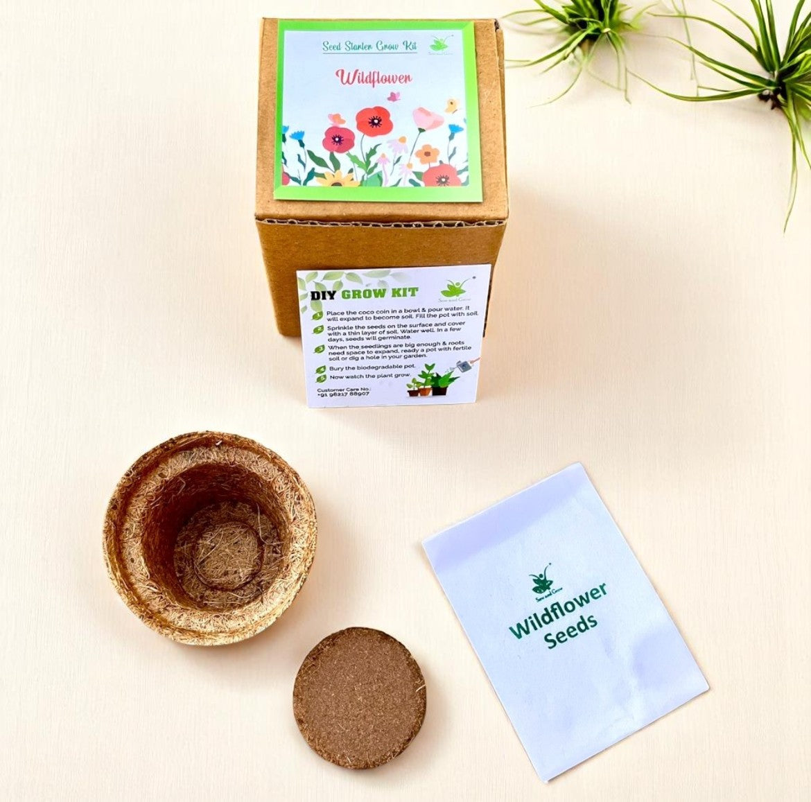 Mini Wildflower Grow Kits – Set of 9 | Eco-Friendly DIY Gardening Gift Pack for Kids & Adults | Return Gift Ideas