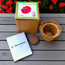 Load image into Gallery viewer, Mini Zinnia Flower Grow Kits – Set of 9 | Eco-Friendly DIY Gardening Gift Pack for Kids & Adults | Return Gift Ideas