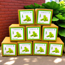 Load image into Gallery viewer, Mini Bottle Gourd (Gheeya/Lauki) Grow Kits – Set of 9 | Eco-Friendly DIY Gardening Gift Pack for Kids & Adults | Return Gift Ideas