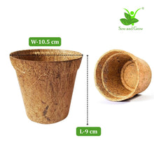 Load image into Gallery viewer, Sunflower Seed Starter Grow Kit – Pack of 6 | DIY Easy Grow-it-Yourself Gardening Kit for Home and Garden | A Complete Beginner Gardeners Gardening Set