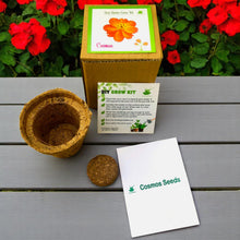 Load image into Gallery viewer, Mini Cosmos Flower Grow Kits – Set of 9 | Easy-to-Grow DIY Gardening Gift Pack | Eco-Friendly Return Gift Idea for Kids & Adults
