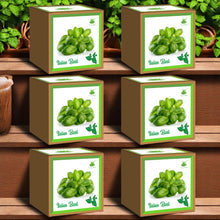 Load image into Gallery viewer, Italian Basil Seed Starter Grow Kit – Pack of 6 | DIY Gardening Kit for Home & Garden | Easy Grow-it-Yourself Set for Beginners | Perfect Eco-Friendly Gift