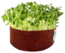Load image into Gallery viewer, Sow and Grow Microgreens Grow Kit: Sunflower and White Radish - Grow 2 Microgreens | Easy to Use Kit for Beginner Gardeners