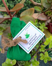 Load image into Gallery viewer, Plantable Tulsi Seed Balls | Gift Pack of 10 | Individually Packed in Cloth Potlis | Eco-Friendly Beej Balls for Gifting | Grow Holy Basil at Home