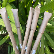 Load image into Gallery viewer, Plantable Seed Pens | Gift Pack of Individually Packed Plantable Pens