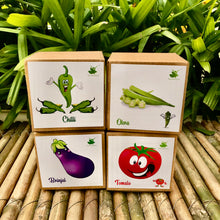 Load image into Gallery viewer, DIY Gardening 4 Vegetable Kits | Brinjal + Okra + Chilli + Tomato
