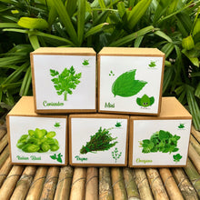 Load image into Gallery viewer, DIY Gardening All Herbs Kits | Oregano + Thyme + Mint + Coriander + Italian Basil