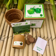Load image into Gallery viewer, DIY Gardening 8 Vegetable Kits | Capsicum + Brinjal + Okra + Chilli + Tomato + Bitter Gourd + Bottle Gourd + Beans