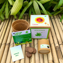Load image into Gallery viewer, Sow and Grow DIY Gardening Kit of Gaillardia Flowers || | Best suited for 25-40 degrees temperatures