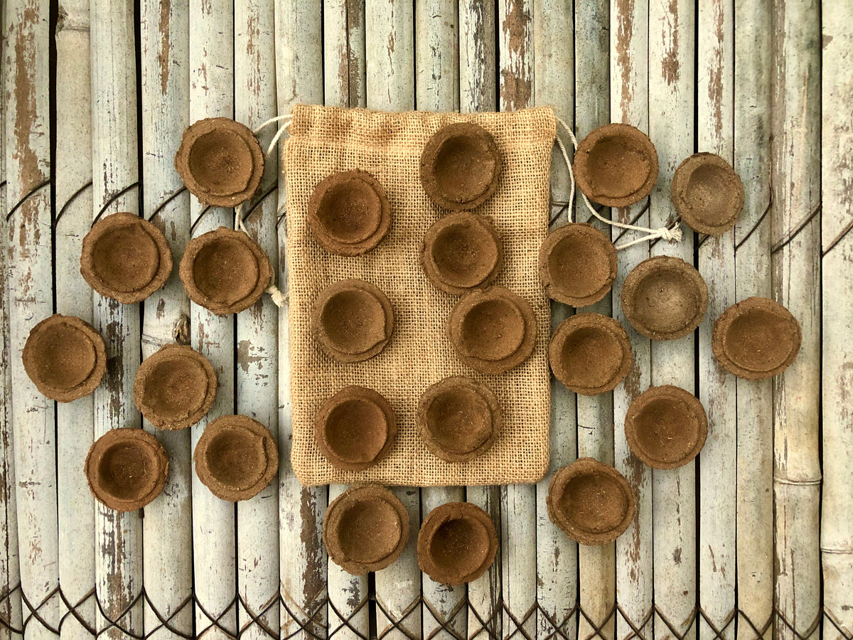 Ultimate MegaBox: Plantable Crackers + Gardening Kit + 7 Seed Balls + Organic Cow Dung Diya + Diary + 2 Plantable Pens and Pencils