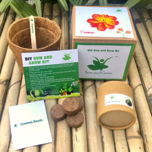 Load image into Gallery viewer, Sow and Grow DIY Gardening Kit of Cosmos Flowers