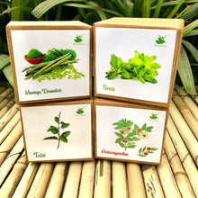 Load image into Gallery viewer, DIY Gardening 4 Medicinal Plant Kits | Tulsi + Moringa + Ashwagandha + Stevia