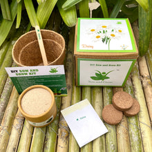 Load image into Gallery viewer, DIY Gardening 6 Winter Flower Kits Combo | Chrysanthemum + Petunia + Verbena + Ice Plant + Aster + Dahlia