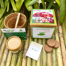 Load image into Gallery viewer, DIY Gardening 6 Winter Flower Kits Combo | Chrysanthemum + Petunia + Verbena + Ice Plant + Aster + Dahlia