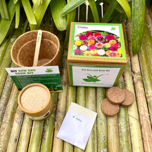 Load image into Gallery viewer, DIY Gardening 6 Winter Flower Kits Combo | Chrysanthemum + Petunia + Verbena + Ice Plant + Aster + Dahlia