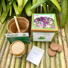 Load image into Gallery viewer, DIY Gardening 6 Winter Flower Kits Combo | Chrysanthemum + Petunia + Verbena + Ice Plant + Aster + Dahlia