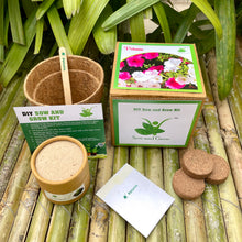 Load image into Gallery viewer, DIY Gardening 6 Winter Flower Kits Combo | Chrysanthemum + Petunia + Verbena + Ice Plant + Aster + Dahlia