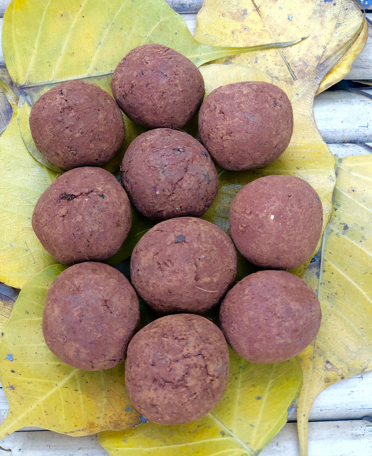 Plantable Marigold Seed Balls | Pack of 10 | Eco-Friendly Beej Balls for Gardening & Gifting | Grow Your Own Flowers