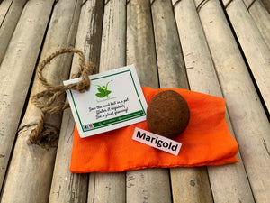 10 Plantable Seed Balls with Marigold Seeds | Beej Balls