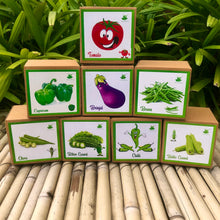 Load image into Gallery viewer, DIY Gardening 8 Vegetable Kits | Capsicum + Brinjal + Okra + Chilli + Tomato + Bitter Gourd + Bottle Gourd + Beans