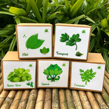 Load image into Gallery viewer, DIY Gardening All Greens Kits | Italian Basil + Spinach + Coriander + Mint + Fenugreek
