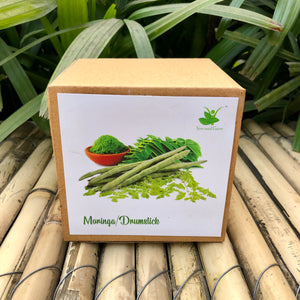 Sow and Grow DIY Gardening Kit of Moringa/ Drumstick | Grow it Yourself Seed Starter Grow Kit of Medicinal Plants for Beginner Gardeners