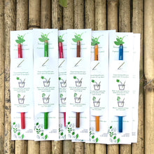 Load image into Gallery viewer, Plantable Seed Pencils | Gift Pack of Individually Packed Plantable Pencils