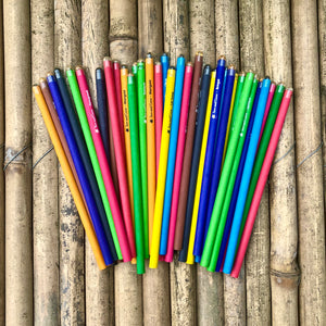Sow and Grow Seed Pencils | Gift Pack of 10 Individually Packed Plantable Pencils