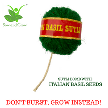 Load image into Gallery viewer, SEED CRACKERS: Plantable Clay Seed Crackers | Set of 5