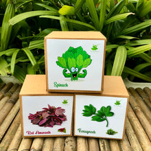 Load image into Gallery viewer, Winter Special: DIY Gardening Leafy Kits | Spinach + Fenugreek + Red Amaranth