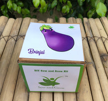Load image into Gallery viewer, Sow and Grow DIY Gardening Kit of Brinjal (Grow it Yourself Vegetable Kit)