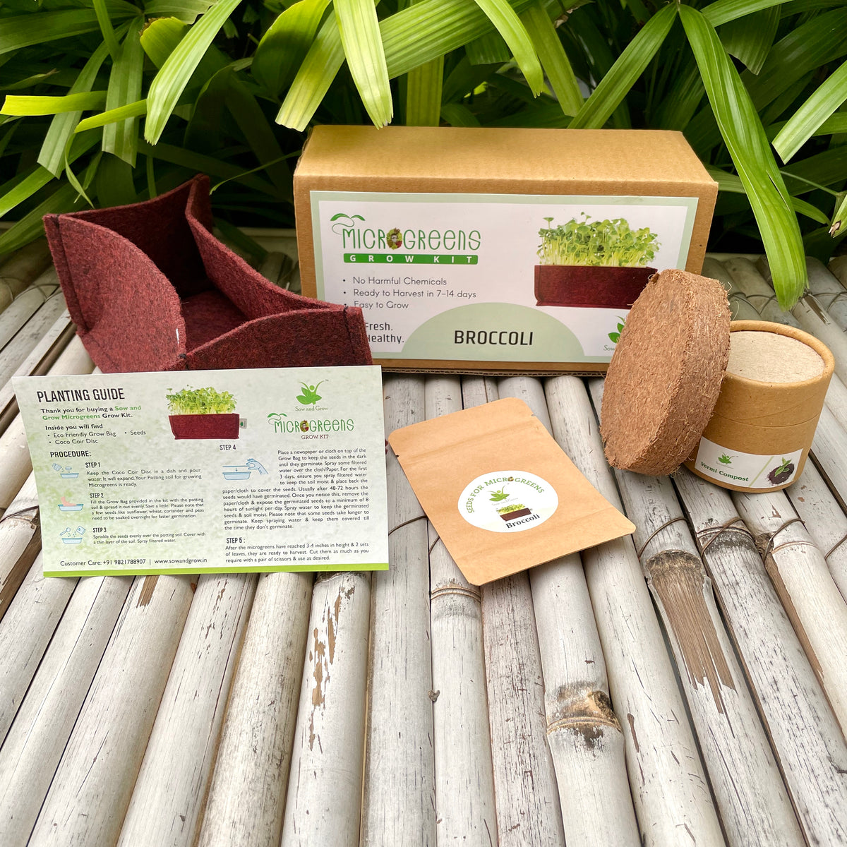 Microgreens Grow Kit Broccoli 20 grams Easy to Use Kit for Beginne