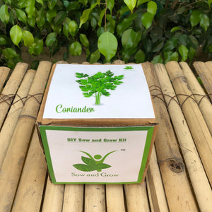 Sow and Grow DIY Gardening Kit of Coriander / Dhaniya (Grow it Yourself Herb Kit)