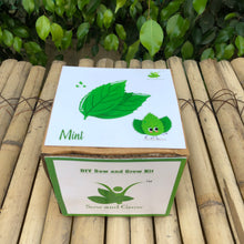 Load image into Gallery viewer, Sow and Grow DIY Gardening Kit of Mint (Grow it Yourself Herb Kit)